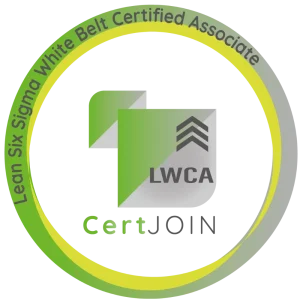 Asociado Certificado Lean Six Sigma Cinturón Blanco
