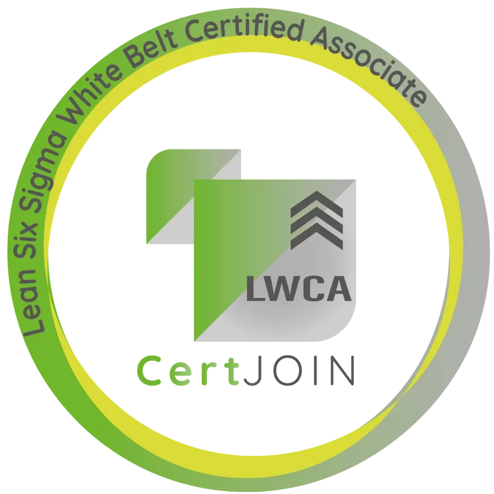 Asociado Certificado Lean Six Sigma Cinturón Blanco