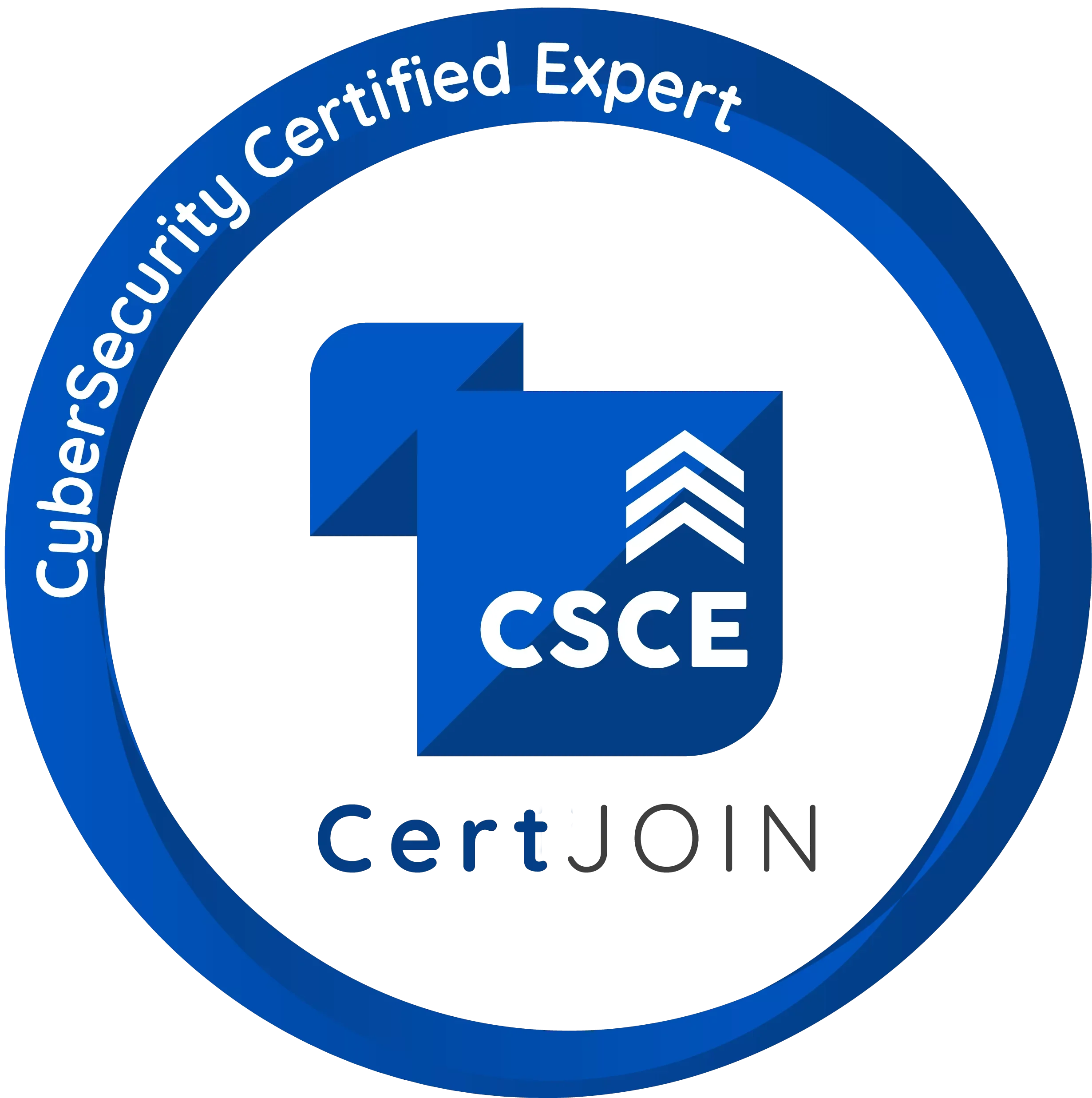 Cybersecurity-Certified-Expert